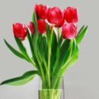 91536c37451bd870adadd36a6a96e76ceaa27040