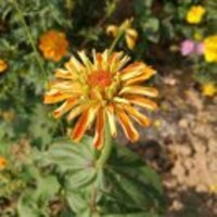 C10c093496856816c0f8c7793674cc773d89c7ce