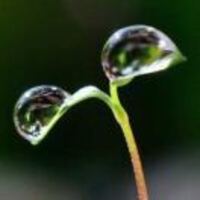 95a73cc55de53f6ab61243d235c3894abb3a95a9