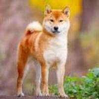 A475d678e64abeccc7c296a054e559447a1623be