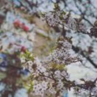 608799089b7b90e0c346048d712917d3921459ed