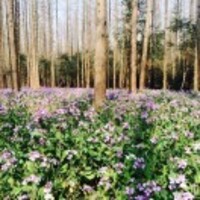 90dedd4fec3fb47fcbe0a4790a0d1b4c1b802795