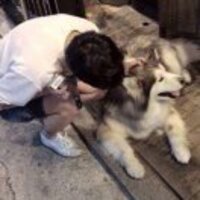 41a39df6b393d827bf4a4a08f0e5dae9c55efbbb