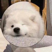 4107f7f72aa25a9f38566a7bcecdcd75a0ba5c3d