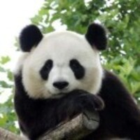 779379ae4fdebf86fbf635ede3cd7d2d9cc4b4b8