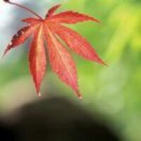 6011ca5ccb9d0bcc3568f854f6b2bd8c161bb56d