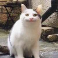 872e9bff0d076522c27d89aea13d89371da61290