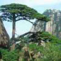 36788828e079c52bfa83ec70a8c461a46b877634