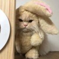 B3ca21a1fdc65d6d38311c4126cfaf569bf7c476