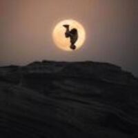 38987a29389cce23e6bf419009457f67511005a5