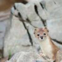 B6a4a7dbfcaf2ca12d59b3343b270f7b1a77a6d4