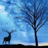 D215ec110432200177a90cea48dd985aca0109e7