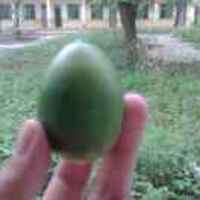 666b932678ea3bf86fdb2765bf098fb3cff81a23