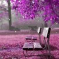 6fed69d6b78f4639d75a800546e065c443a0c0e4