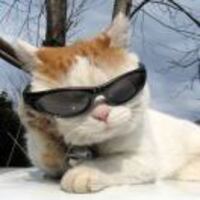 372a62d13a8a55b042efc22f8eab42f0bf6559ed