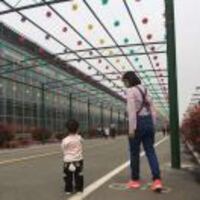 44e68c2b7b1961e66f69666359b76f4f73e59944