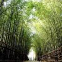 5e1b6872b97200d2fd65b234d2b16c03ff7c570e