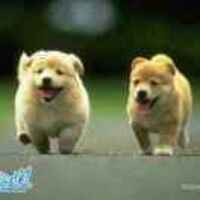 650c3db0b3fcd001ff07bfc3b20c1862d6ce5fa6