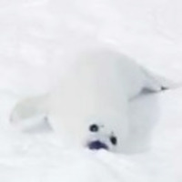 9e859ac22f1aa948aa1bb2525011754079224859