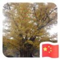 44107da960829b77f6354f5ea66a9d7c5d43cab2