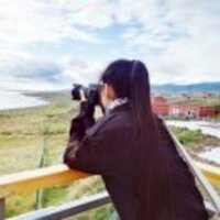 Ed87845a8550fec573a6a0359a74ad96402012ca