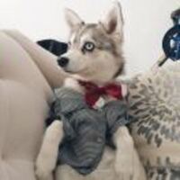 749952db6fd2a771e5805e01eb4e2c33b8c44c8a