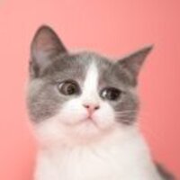 C2a5c9104322ca72986247a810b77e79934381f2