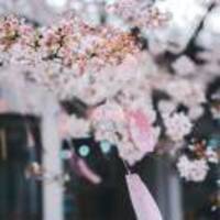 74b286781bcc30b22fc3f8dd730be44c882b0d55