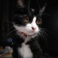 D47dde57f0415df67e2ca1140edd8ca2e1a9ad81