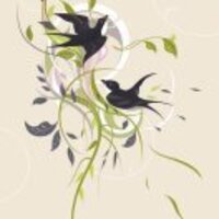 2347c1b41590f806e42d491ebe9f5ac1057d4bc5