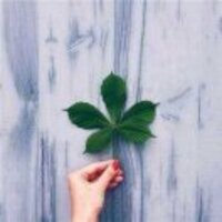 46d3d1339cb22e7920c2174d5585bb4a592d000a