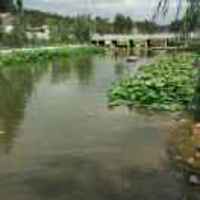 0185bcd7cf298a3a970cc96bd712d39472f44f6e