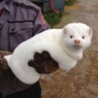 Dd3233a681dcca0282dfa2a7993301c28be75d6d