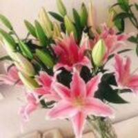 C09f303343214d10c1c951876b9559b878d59a60