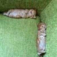 26818d87759c9d4e20dd6808556fb0142f2f7793