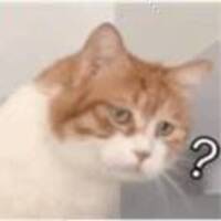 72970fc789f00a703f5ff6951e9514e498485542