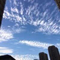 2be31e00143b448fb91ca1d007c096abdf335d48