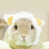 5d9f7f9122f254e77f290e1a9ce4c98b55db37b5