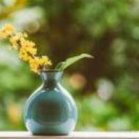 Af2d3c18a4e3e2d388ba9629901b5f5f50f62271