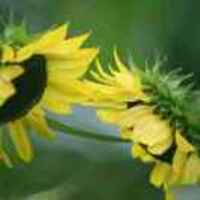 4bdbba102f9cbac7668305065a37b48838926caa