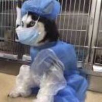 C3dfa1090e812799eb73cbe62c19c216b4371975