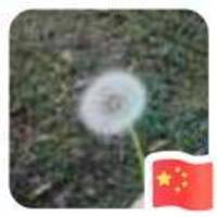 656a8b4038fd25c9e8dca9900e30f21c36347364