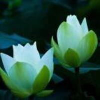 1fd2d3bd3615f4e90cfecb34217e7e0aecdd8c6b