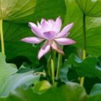 3853dfe1331940bcda72d76d706ac21102b70d62