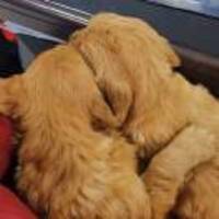 D5a3f12429a4c29c1587f142e75ea3303acd6bbf