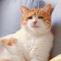 2dc953ceae4c85f68ff3c87aef99081546f00ae1