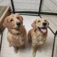 E994a14ed7a867fb1114e4b126533ee685211b0c