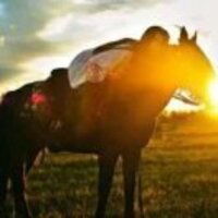 0a2e841539851522d76cea1a519ec5181af411b7