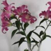 53ea41309c157335154f85c85067801e272da8a7