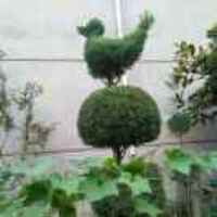 C4de79eee3f8c2262c71c22ee572f6cd8ab0373e